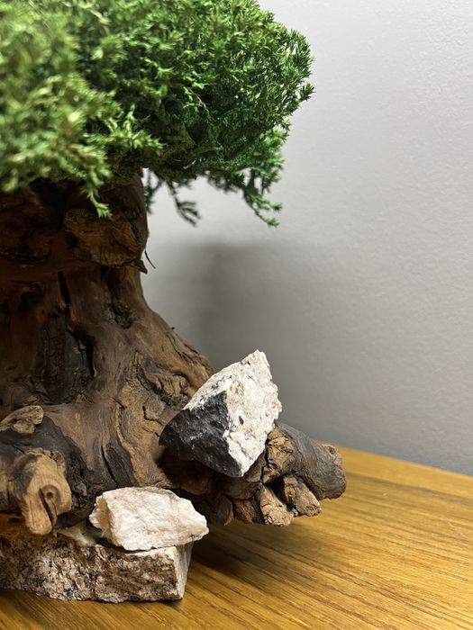 Искусственный бонсай