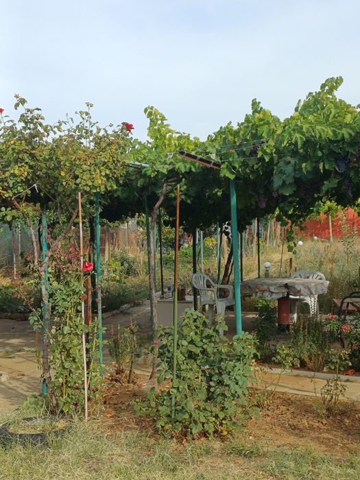 Продавам вила в месноста Орлето Плевен