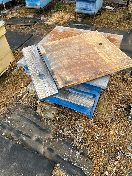 Кошери със магазини