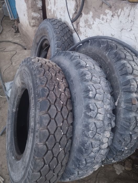 Жағдаиы жақсы 2 аи тағылған