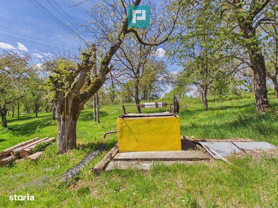 Proprietate rară cu 24.270 mp, în Măgulicea, Arad!
