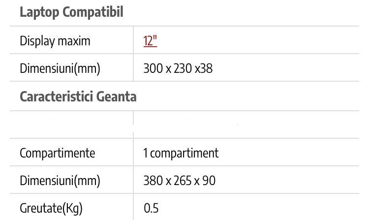 Geanta Canyon laptop mic/tableta