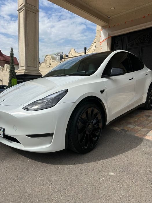 Tesla model Y performance USA