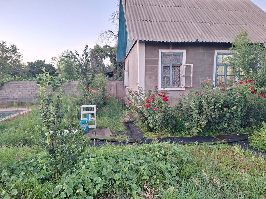 Срочна! Ховли Сотилади