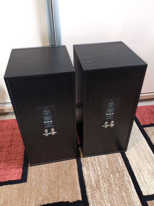 Boxe Nexus LS 250