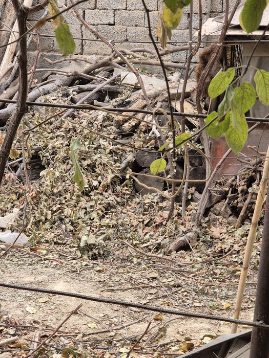 У'тин сотаман. Хар хил.