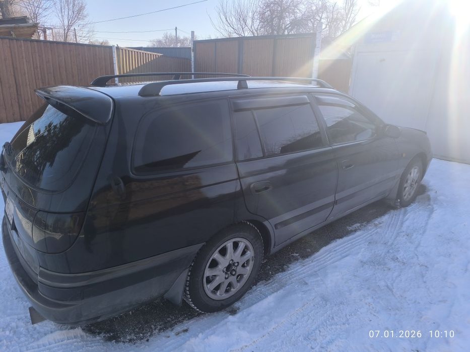 Калдина не битая в отс.