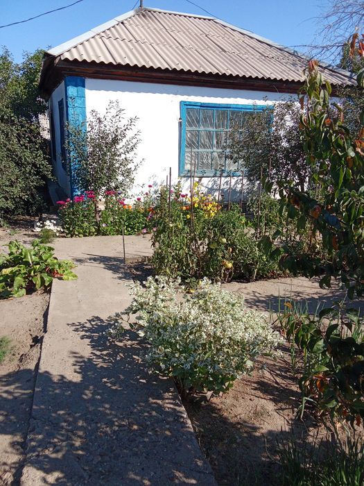 Продам дачу восточный левый