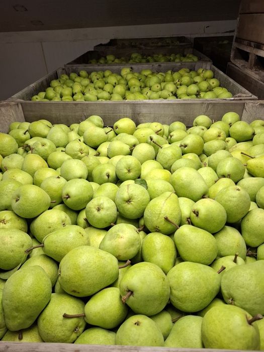 Vand pere lukas import