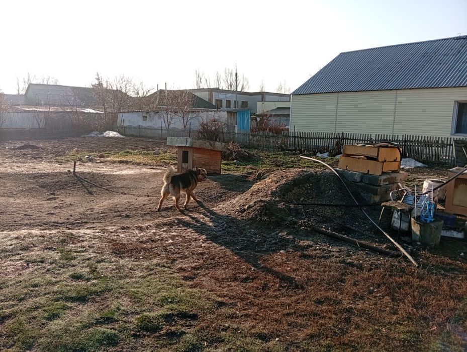 Продам дом п.Шортанды