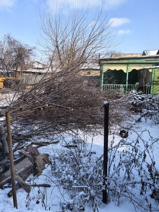 Отын, ағаш бұтақ, дрова