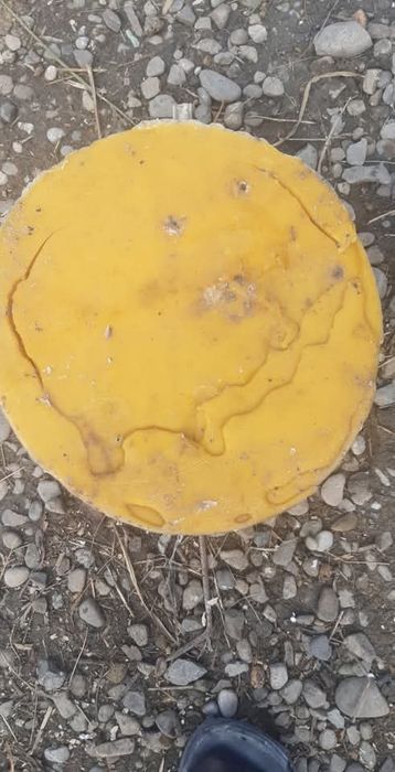 Familia albine, miere,apicole