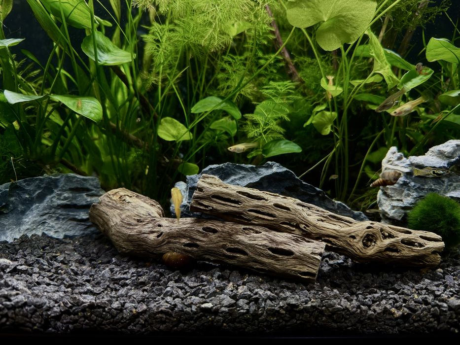 Продавам два аквариума с пълно оборудване – готови за ползване