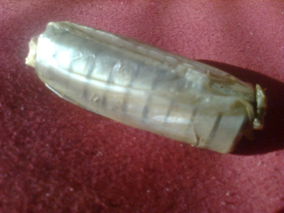 лагери съчмени български вмз