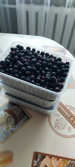Продам свежезамороженные ягоды