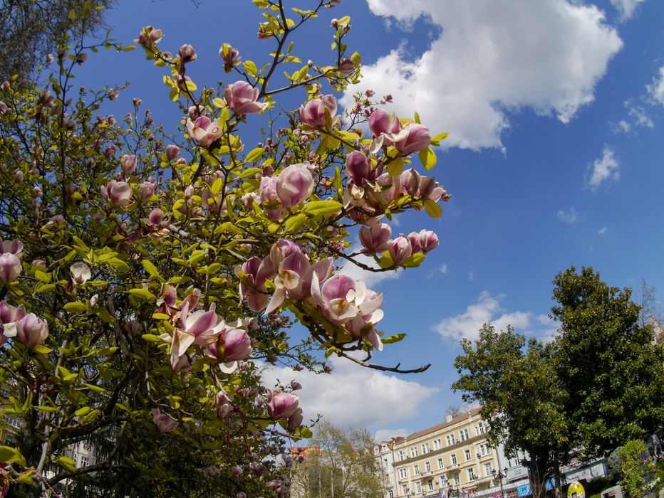 Panasonic Lumix G3 + Fisheye обектив F5.6/10mm
