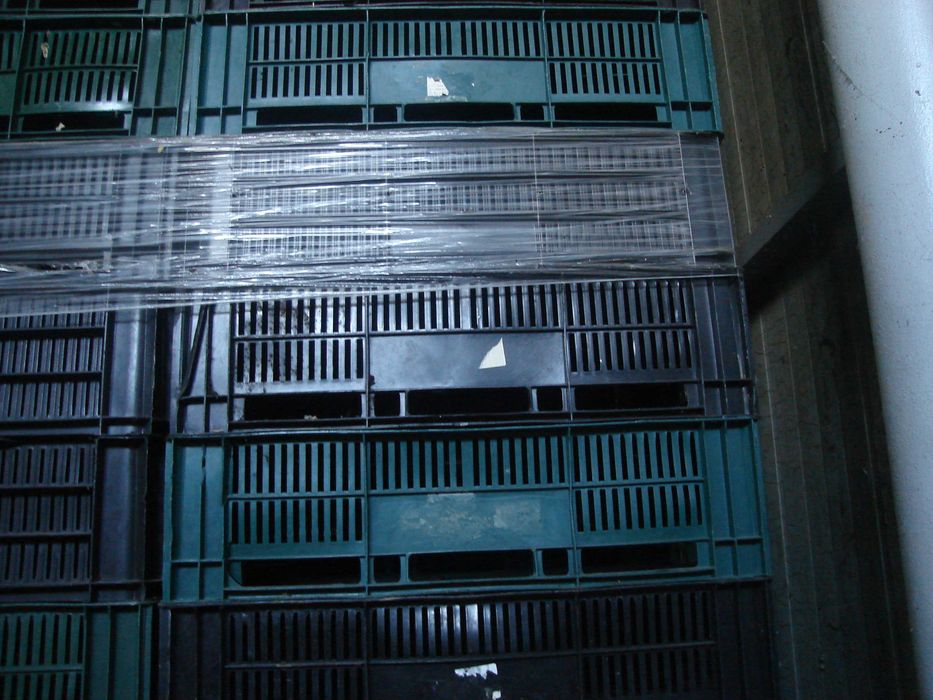 lazi fructe diferite dimensiuni