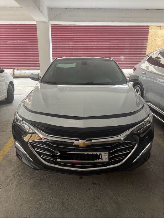 2021 yil tozza 1 kishi xaydagan premyer tozasi