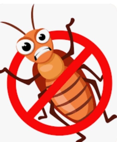 Яд  порошок для травли от тараканов