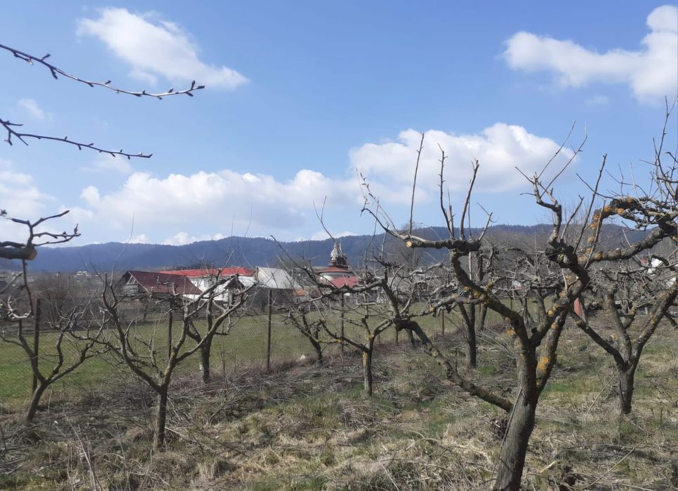 Vand teren constructii+livada in Filioara jud NT 13Eur/mp