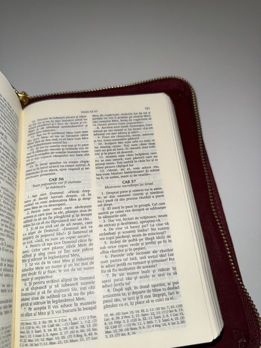 Biblie ortodoxa cu pagini aurii