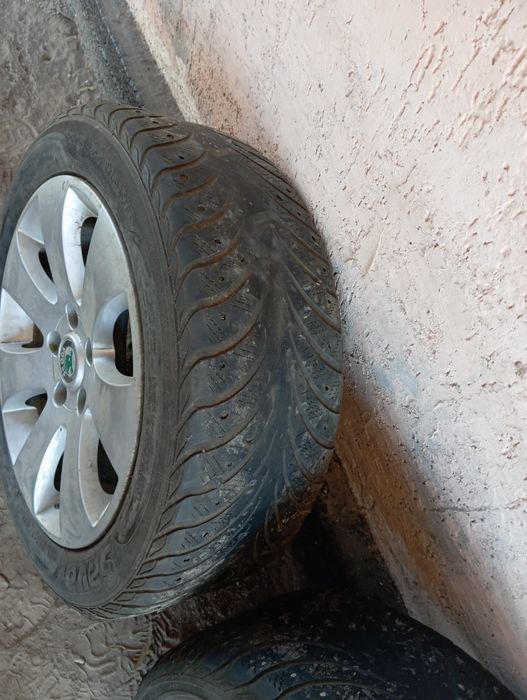 Продам диски  на Шкода