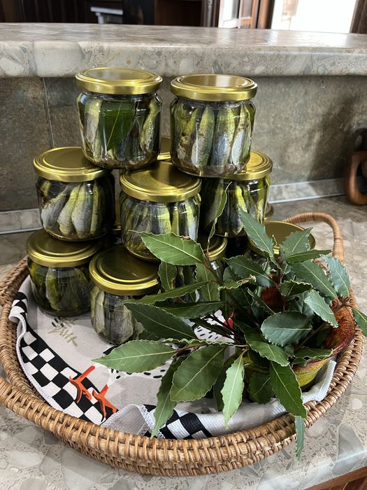 Продавам  черноморски Паламуд 10€ Сафрид.