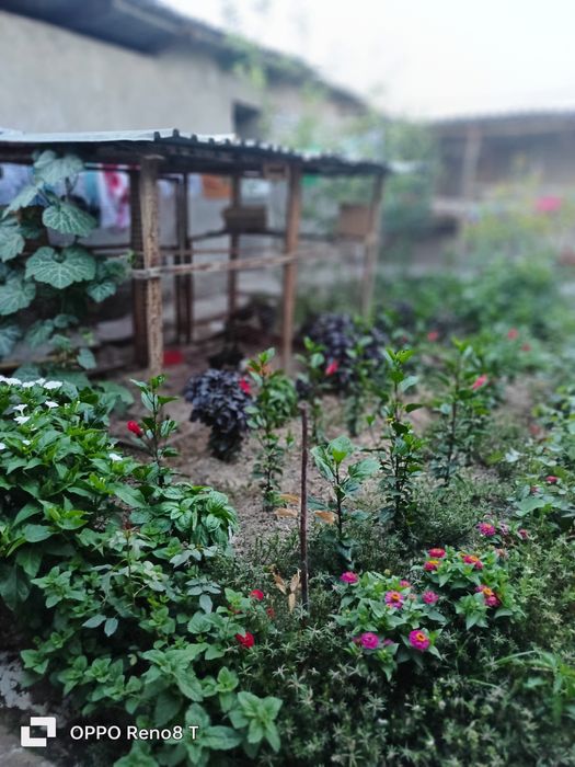 Продается участок срочно!