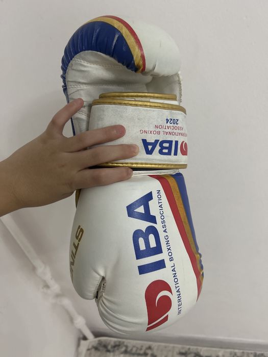 Перчатки IBA для единаборств