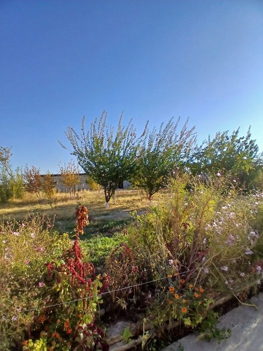 Срочно продам дом