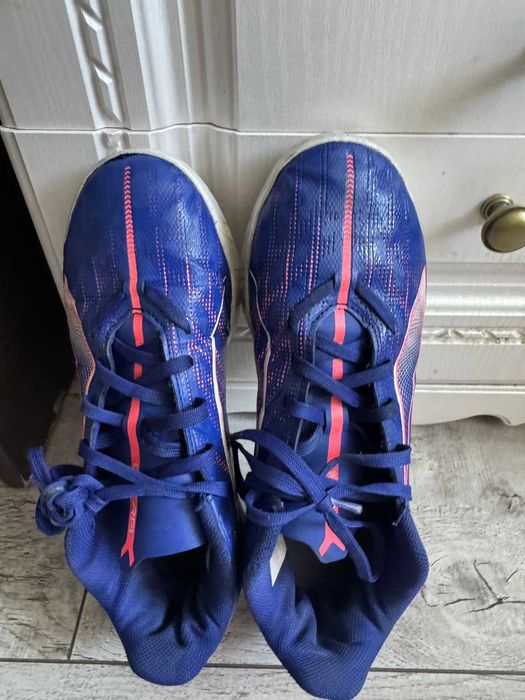 Сороконажки бушные