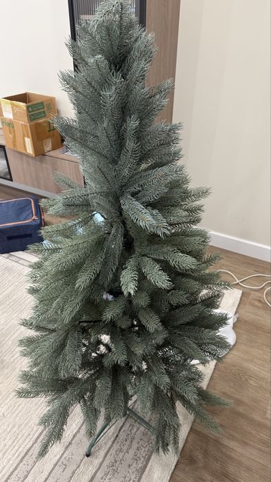 Отдам елку бесплатно