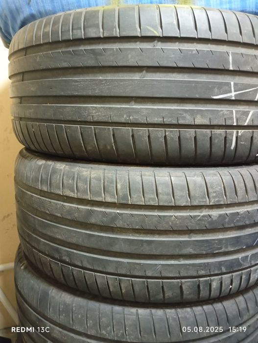 Mishelin  lisyang родной балони