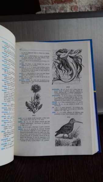 DEIR Dictionar explicativ ilustrat al Limbii Române studiu elevi studenti
