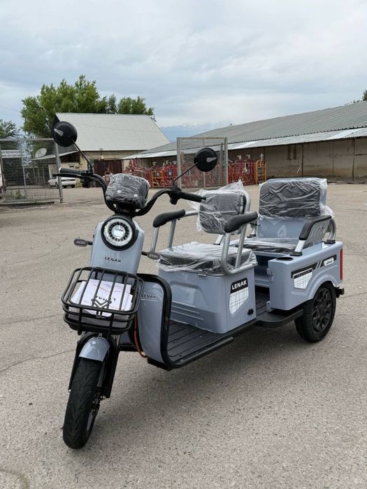 Электротрицикл муравейник