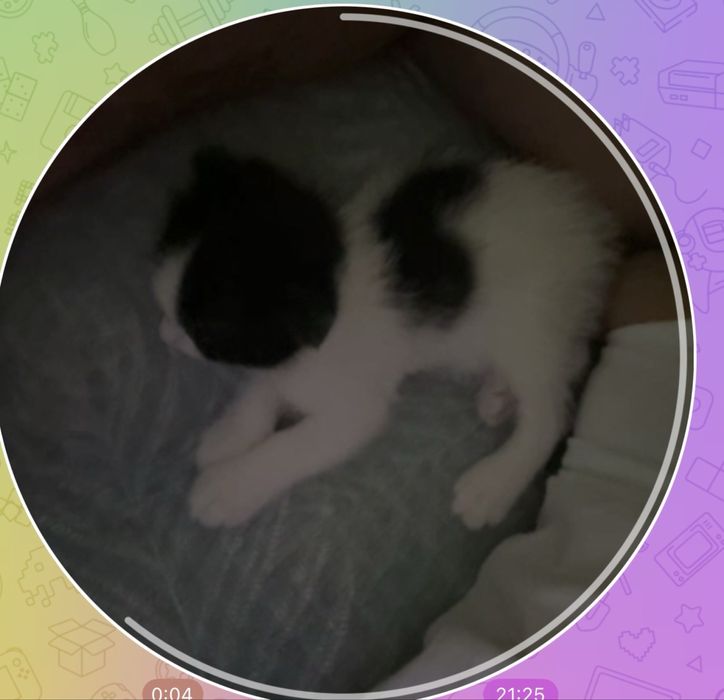 1 месяц, смешанный