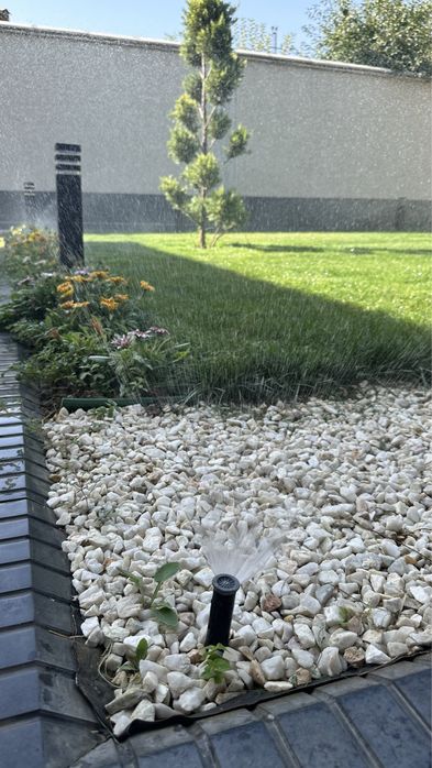 Автополив-газон, газон, посадка дерево, елки