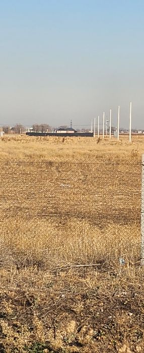 Кокозек вдоль БАКАДА