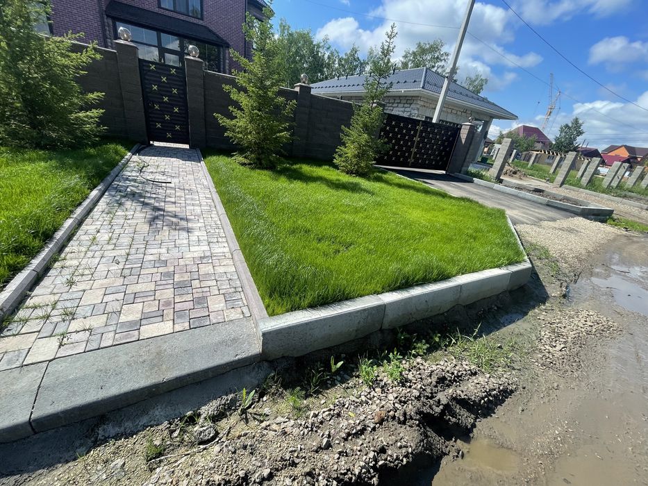 Газон спортивный зимостойкий