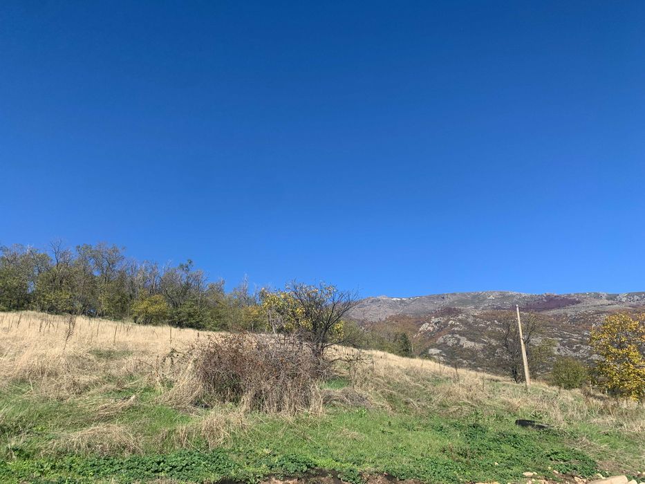 Продава се Парцел в Карлово - 9329 кв.м за 60 €/кв.м - Снимка #1