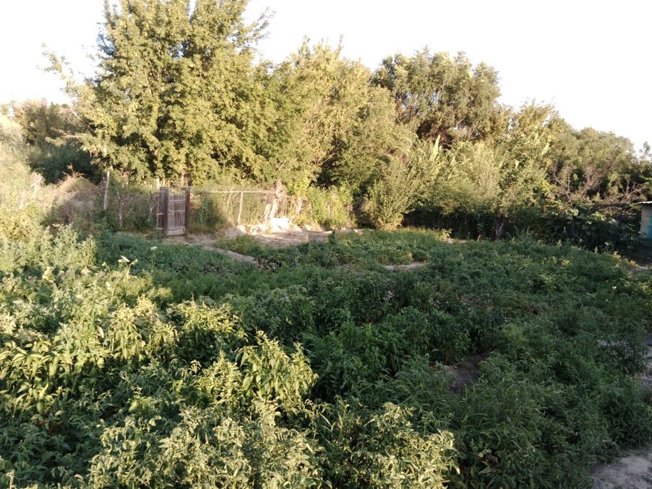 Продам дом  в Уштобе