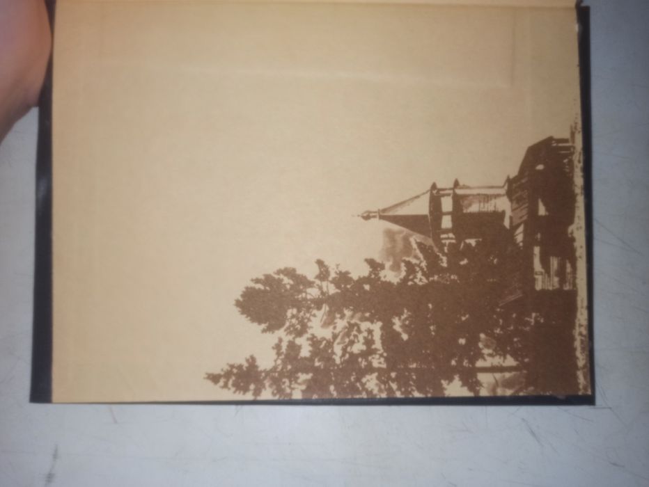 "Обречённая воля" В. Лебедев