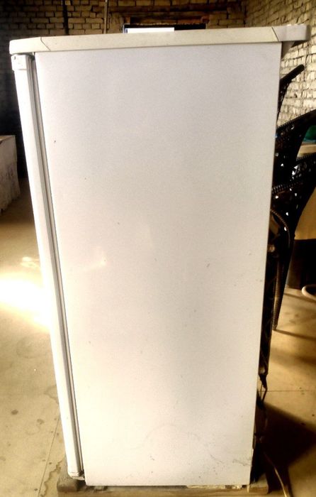 Халаделник брюса