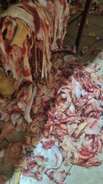 Отход для собак.