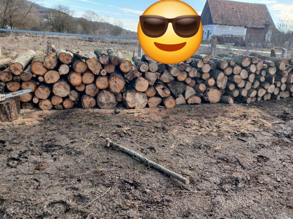 Lemne de foc esente tari