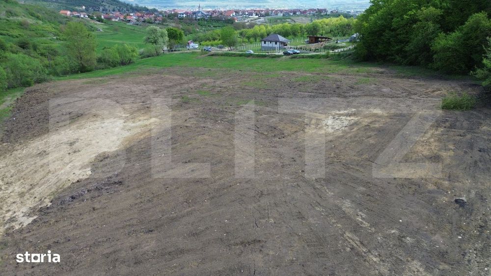 Teren 15.100 mp la baza padurii – ideal parcelare | 14 loturi | priv