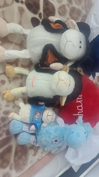 Oitele din plus de la Profi