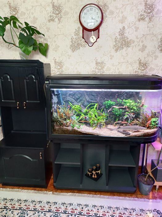 Продам Аквариум 350л.  И 36л.