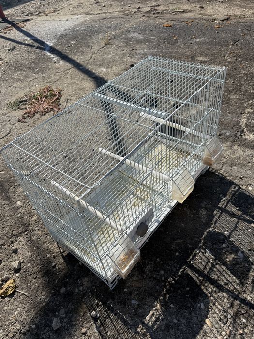 Colivii cusca papagali canari