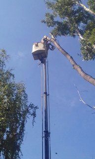 Снос, спил,санитарная обрезка!!!